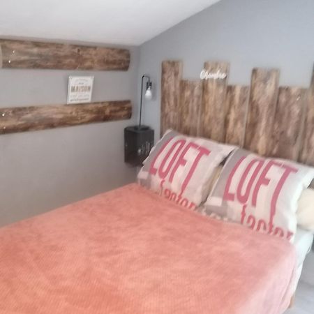 Chambre 23M2 Avec Jardin Wi-Fi Gratuit Saint-Girons Apartment Exterior photo