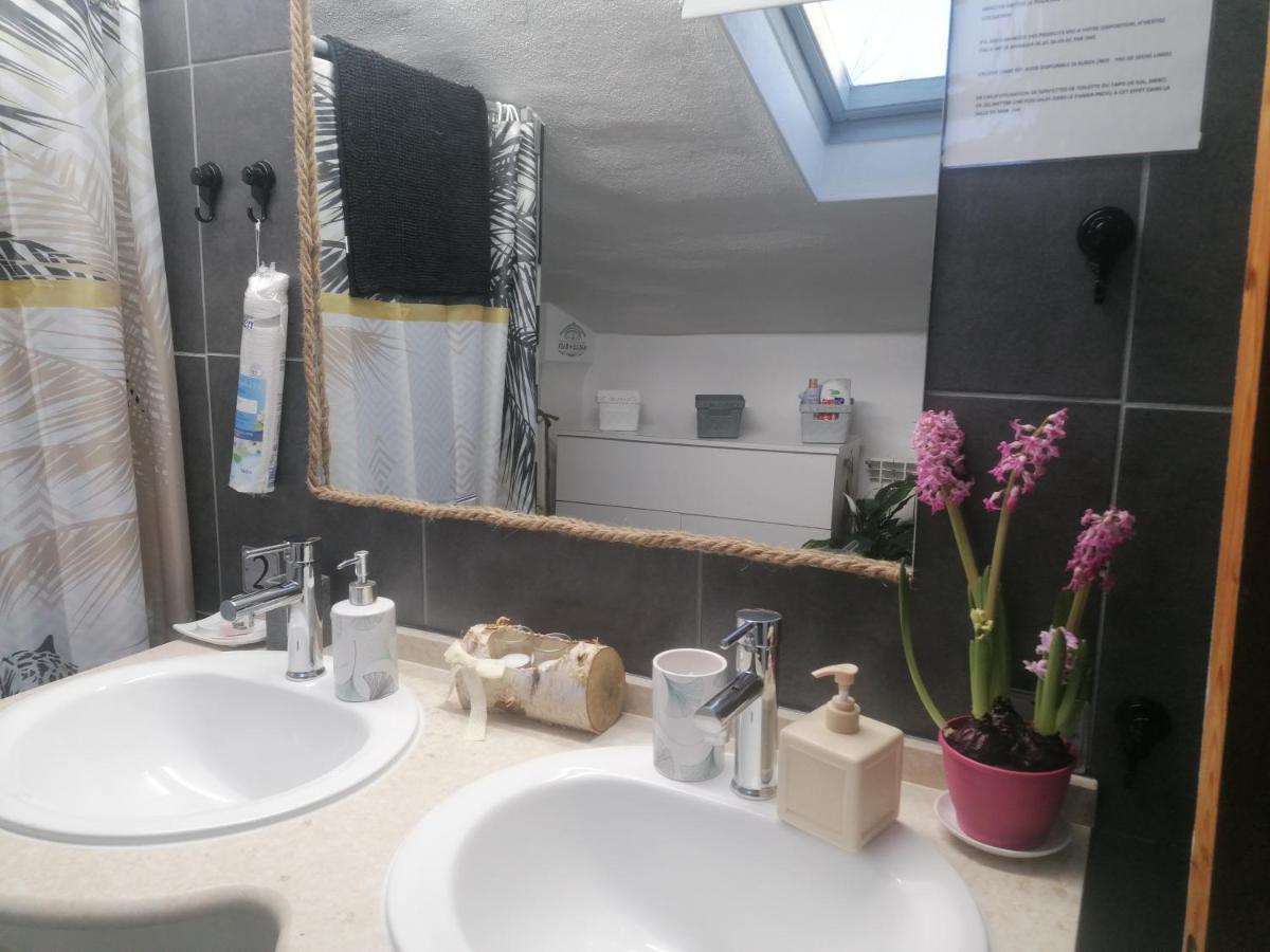 Chambre 23M2 Avec Jardin Wi-Fi Gratuit Saint-Girons Apartment Exterior photo
